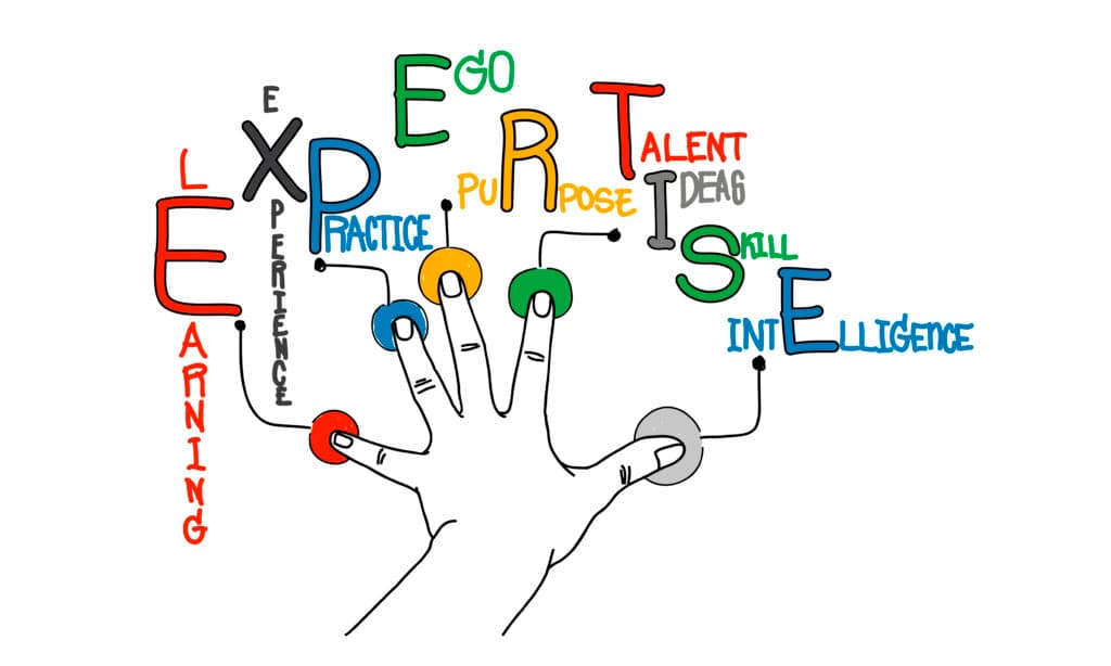 Argeset expertise